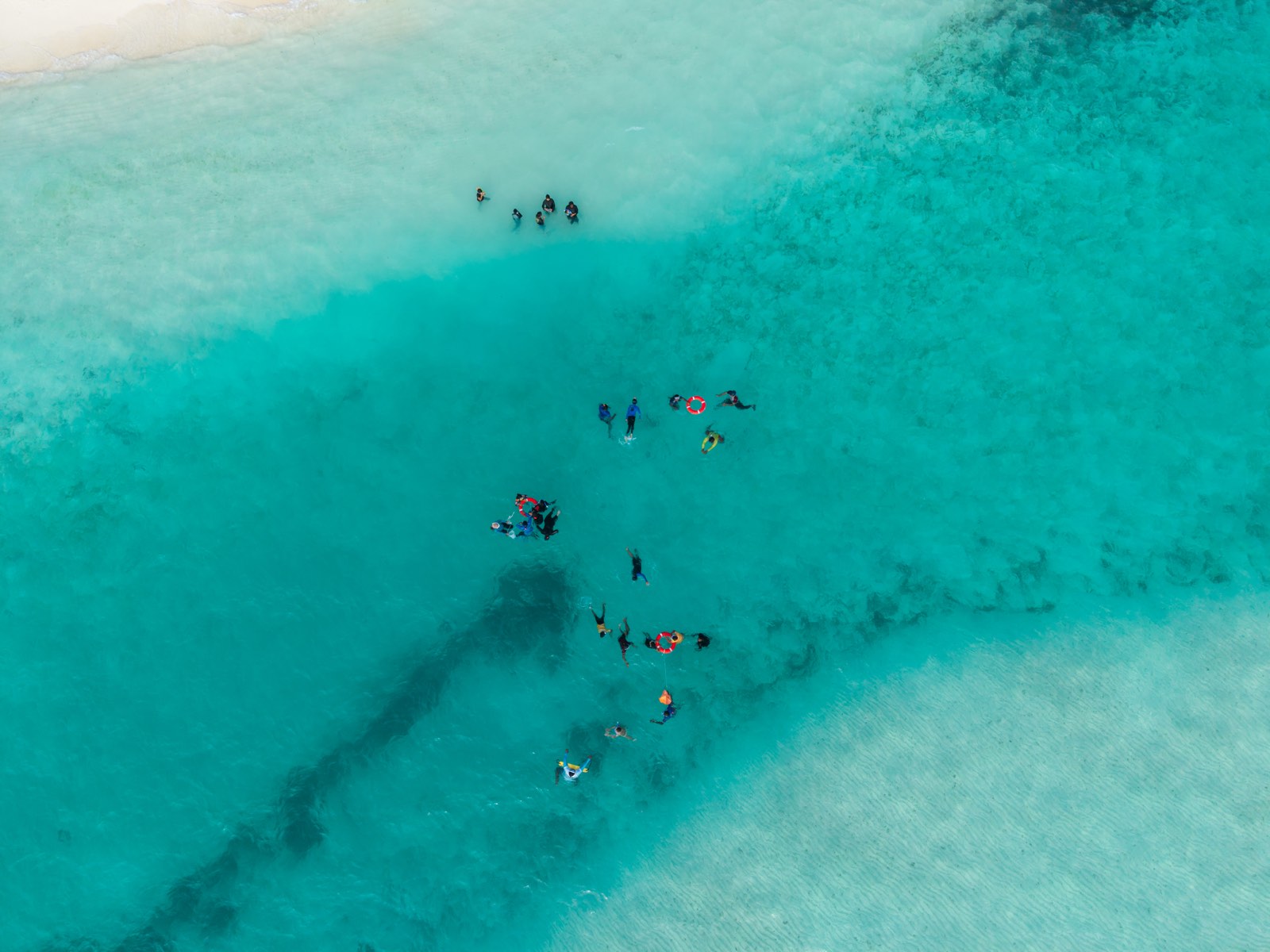WORLD OCEAN’S DAY FIELD TRIP 2026  ANANTARA MALDIVES RESORT