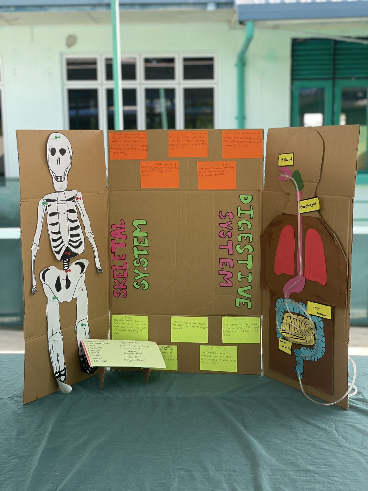 SCIENCE FAIR 2026  “EUREKA” 