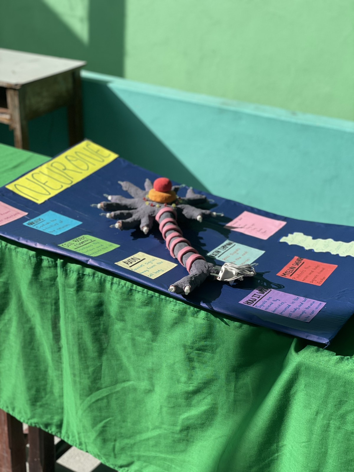SCIENCE FAIR 2026  “EUREKA” 