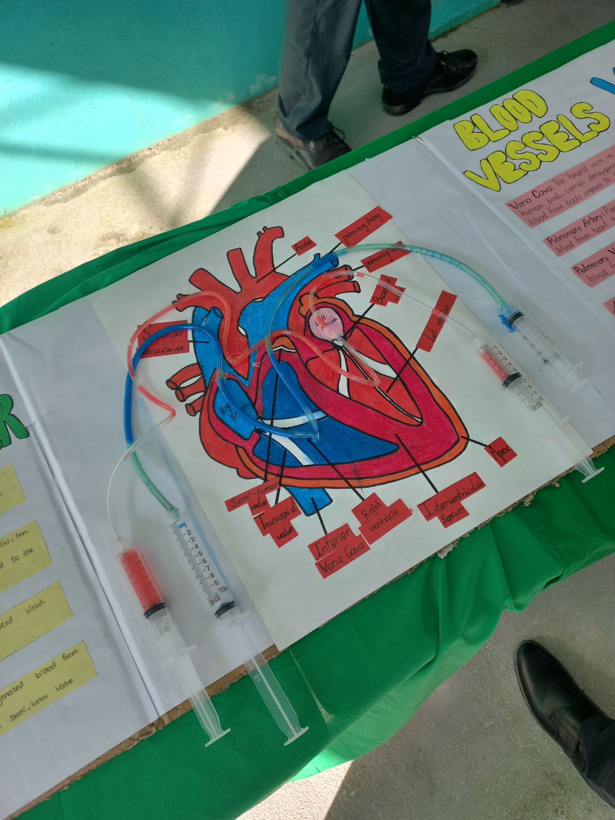 SCIENCE FAIR 2026  “EUREKA” 
